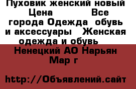 Пуховик женский новый › Цена ­ 2 600 - Все города Одежда, обувь и аксессуары » Женская одежда и обувь   . Ненецкий АО,Нарьян-Мар г.